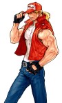 Capcom vs. SNK 2 Character Artwork Capcom Style Terry Bogard