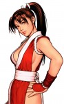 Capcom vs. SNK 2 Character Artwork SNK Style Mai Shiranui