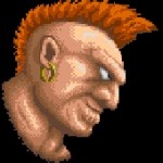 Birdie Profile SF Tribute Character Select SFI