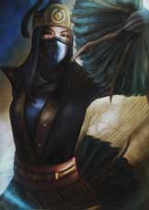 Kitana Jingu Costume MKX Mortal Kombat X Art