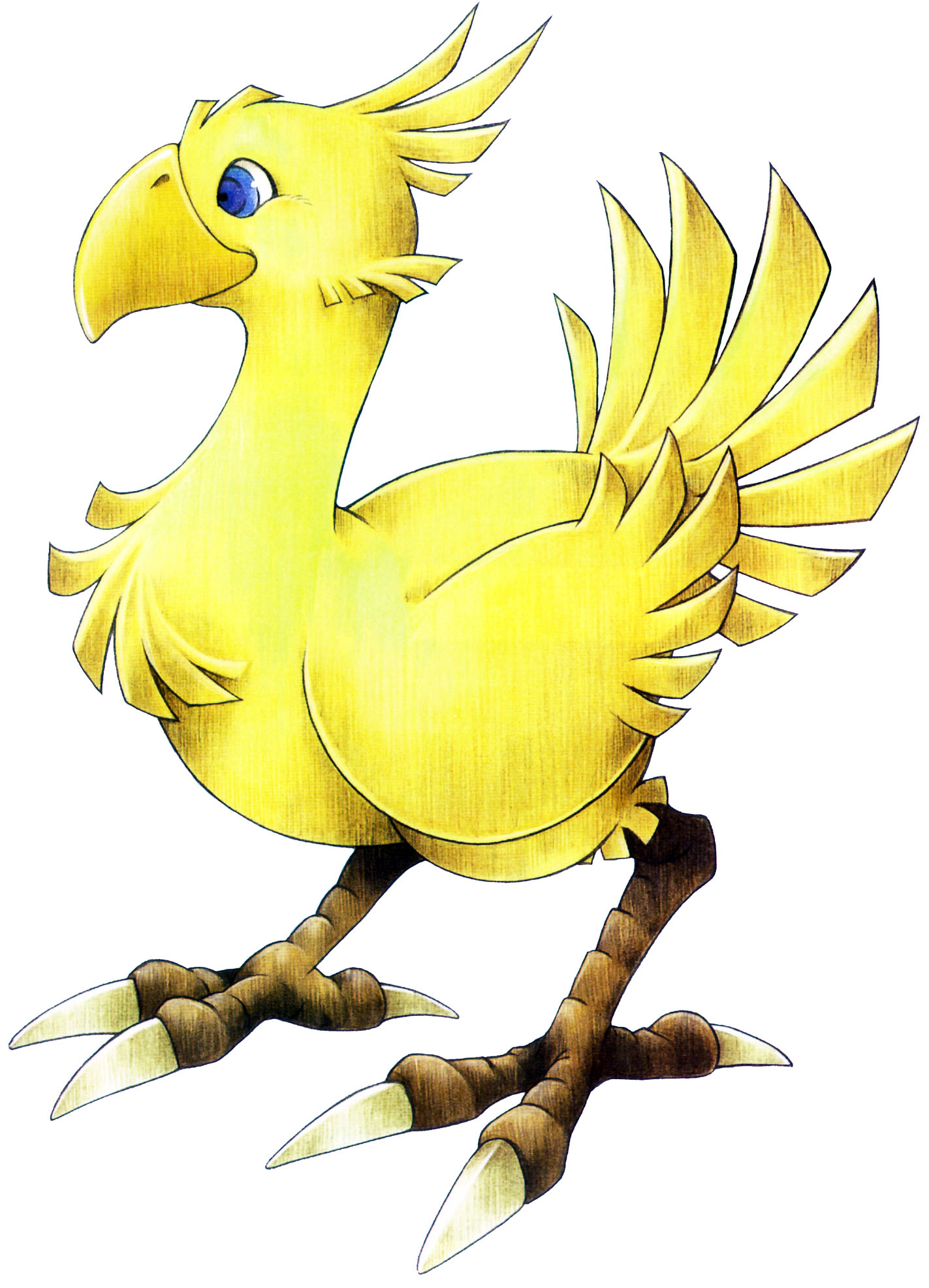 The Chocobos From Final Fantasy Series Game Art.