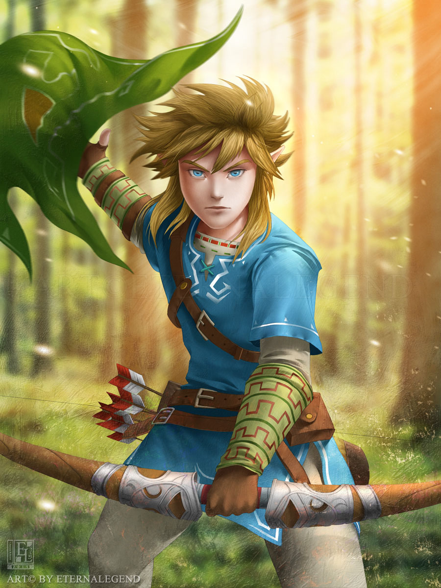 Link Zelda Wii U NX