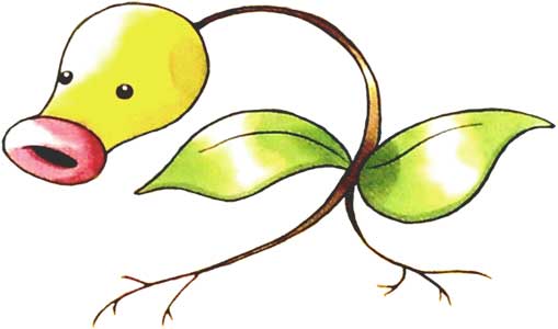 bellsprout-pokemon-red-and-blue-official-art