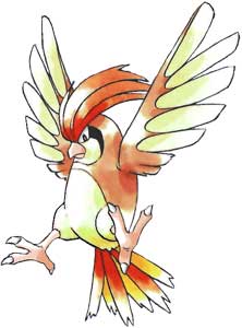 pidgeotto-pokemon-red-and-blue-official-art