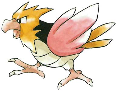 spearow-pokemon-red-and-green-official-art-render