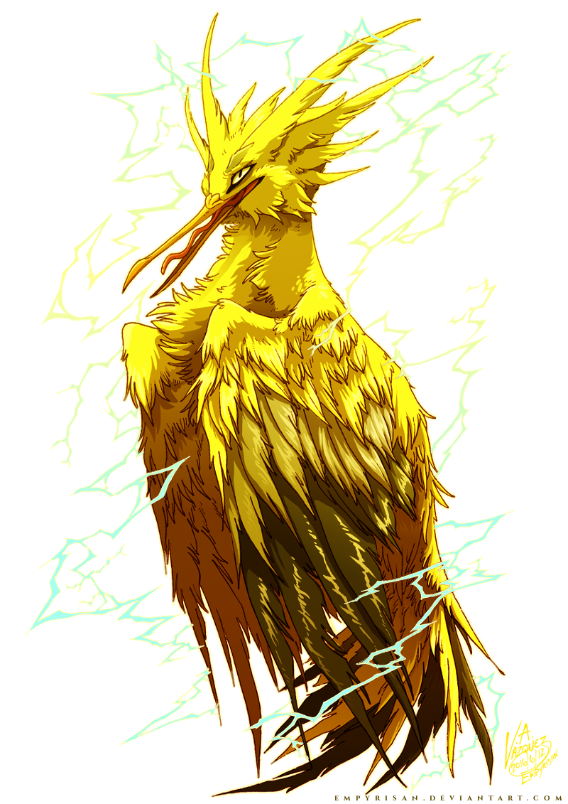 Zapdos The Thunder God