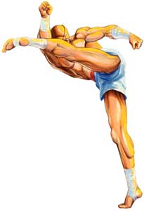 Sagat Street Fighter II Original Artwork from 1990