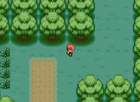 Viridian Forest Pokemon Screenshot